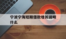 宁波宁海短期借款增长说明什么