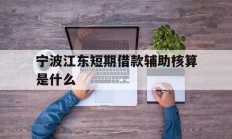 宁波江东短期借款辅助核算是什么