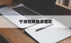 宁波短期融资借款