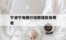宁波宁海银行短期借款有哪些