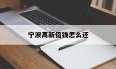 宁波高新借钱怎么还
