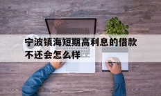 宁波镇海短期高利息的借款不还会怎么样
