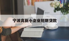宁波高新小企业短期贷款