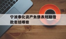 宁波奉化资产负债表短期借款包括哪些
