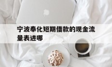宁波奉化短期借款的现金流量表进哪