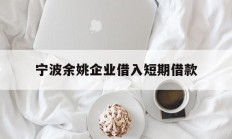 宁波余姚企业借入短期借款