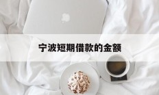 宁波短期借款的金额