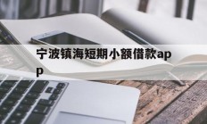 宁波镇海短期小额借款app