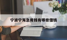 宁波宁海急用钱有哪些借钱