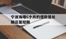 宁波海曙6个月的借款是长期还是短期