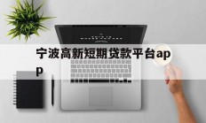 宁波高新短期贷款平台app