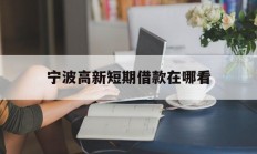 宁波高新短期借款在哪看