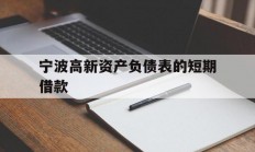 宁波高新资产负债表的短期借款