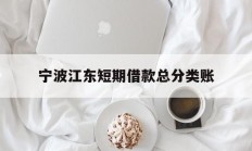 宁波江东短期借款总分类账