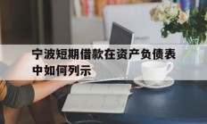 宁波短期借款在资产负债表中如何列示