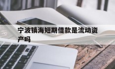 宁波镇海短期借款是流动资产吗