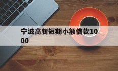 宁波高新短期小额借款1000