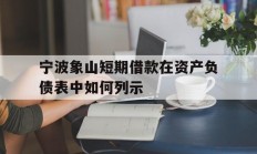 宁波象山短期借款在资产负债表中如何列示