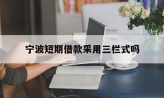 宁波短期借款采用三栏式吗