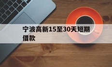 宁波高新15至30天短期借款