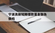 宁波高新短期借款是金融负债吗