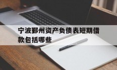 宁波鄞州资产负债表短期借款包括哪些