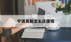 宁波高新怎么还借钱