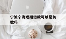 宁波宁海短期借款可以是负数吗