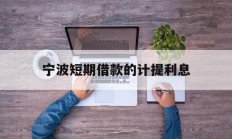 宁波短期借款的计提利息