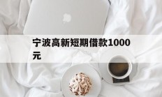 宁波高新短期借款1000元