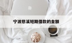 宁波慈溪短期借款的金额