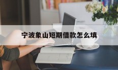 宁波象山短期借款怎么填