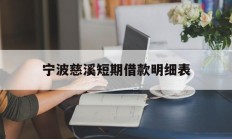 宁波慈溪短期借款明细表