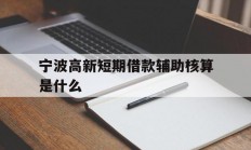 宁波高新短期借款辅助核算是什么