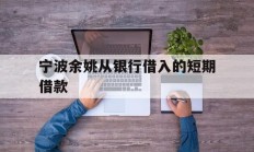宁波余姚从银行借入的短期借款