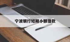 宁波银行短期小额借款