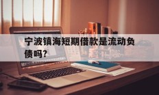 宁波镇海短期借款是流动负债吗?