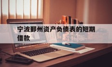 宁波鄞州资产负债表的短期借款