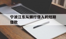 宁波江东从银行借入的短期借款