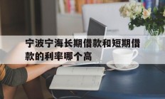 宁波宁海长期借款和短期借款的利率哪个高