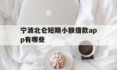 宁波北仑短期小额借款app有哪些