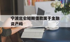 宁波北仑短期借款属于金融资产吗