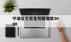 宁波北仑应急短期借款3000