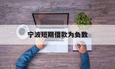 宁波短期借款为负数