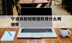 宁波高新短期借款用什么明细账
