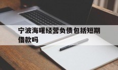 宁波海曙经营负债包括短期借款吗