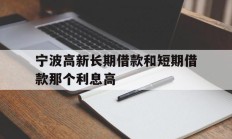 宁波高新长期借款和短期借款那个利息高