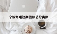 宁波海曙短期借款总分类账