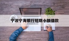 宁波宁海银行短期小额借款