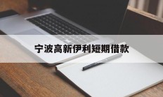 宁波高新伊利短期借款